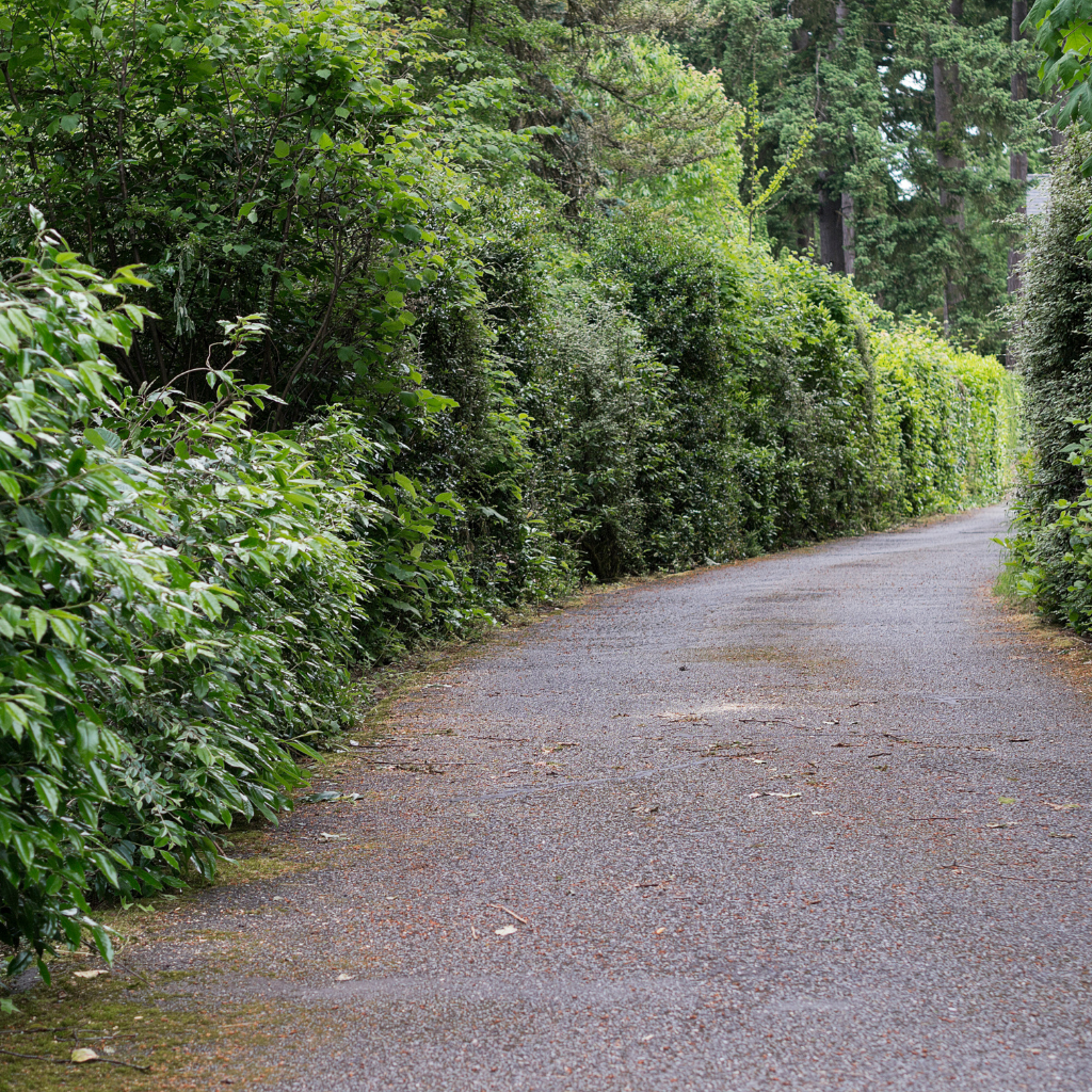 Quality Tarmaced Driveway by WCD in Ledsham